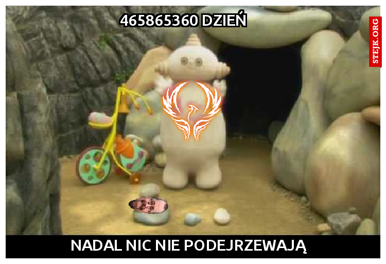 78549758904 DZIEŃ