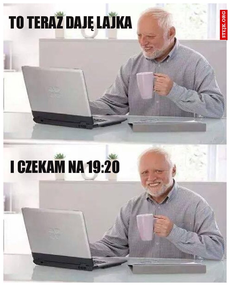 Miejsce w pomocy polonii bytom?