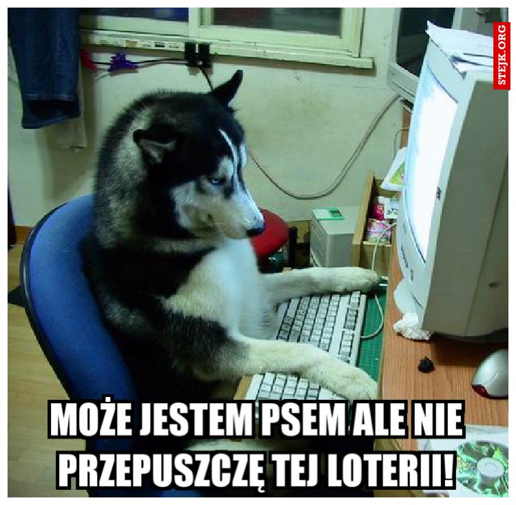 może jestem psem ale nie przepuszczę tej loterii!