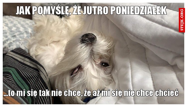 Jak pomyślę, że jutro poniedziałek 