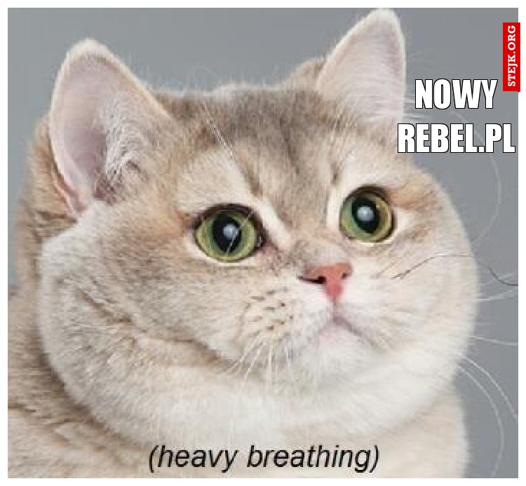 Nowy Rebel.pl