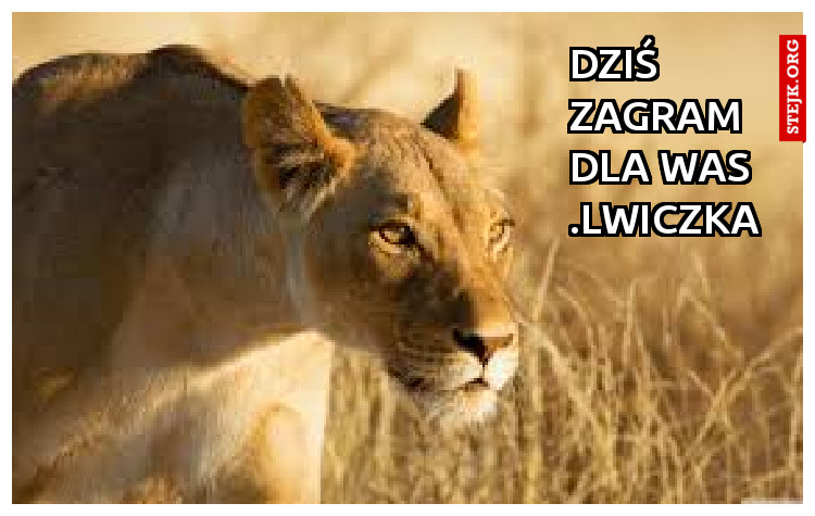 Dziś zagram dla was .Lwiczka