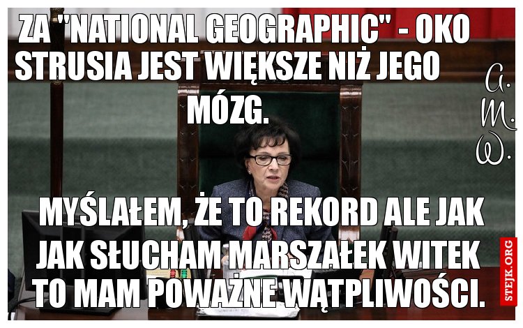 Za "National geographic" - Oko