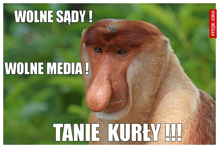 wolne sądy !