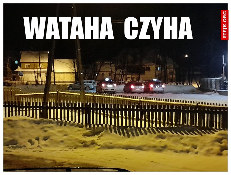 wataha  czyha