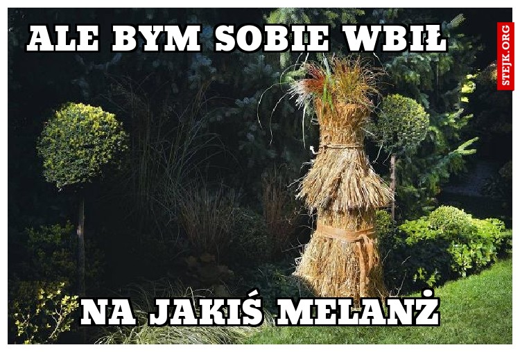 Ale bym sobie wbił