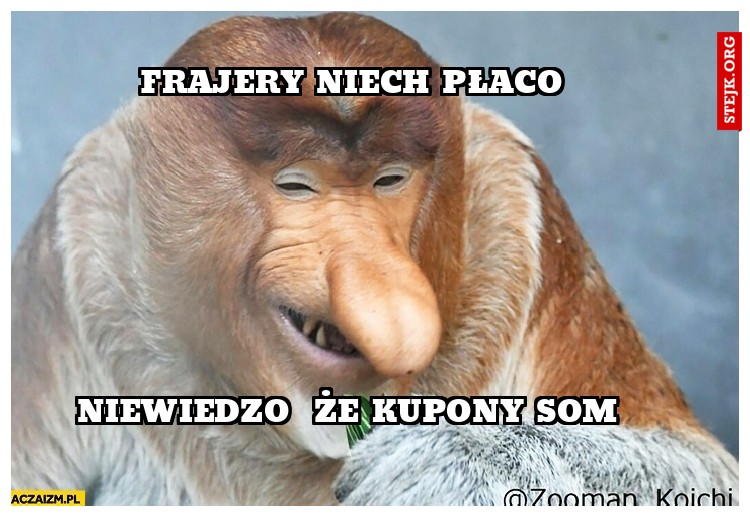 Frajery niech płaco 