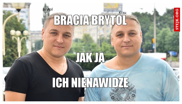 Bracia Brytol