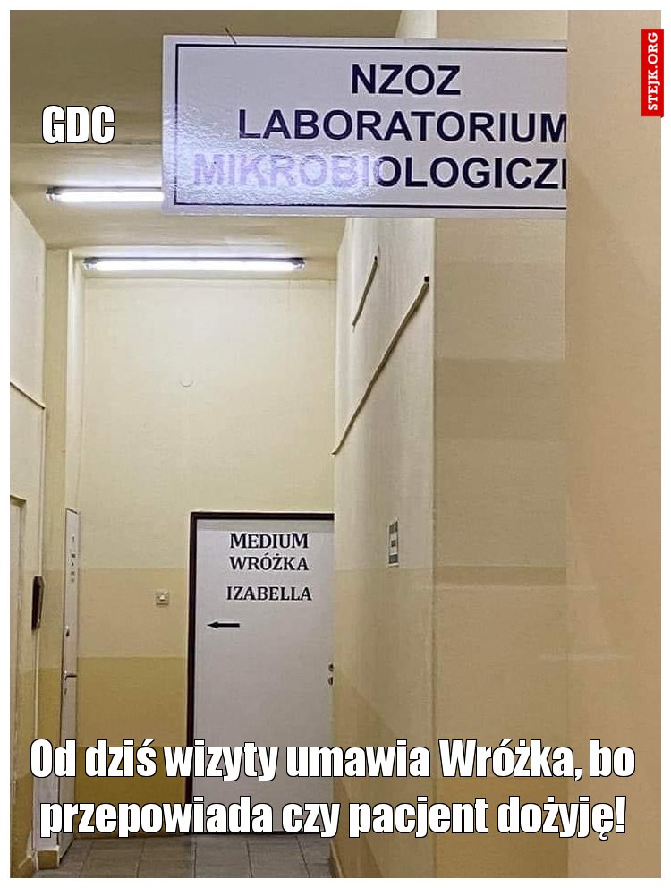 Od dziś wizyty umawia Wróżka, bo przepowiada czy pacjent dożyję!