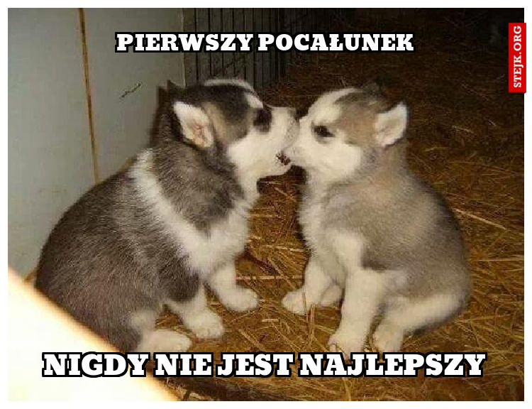 PIERWSZY POCAŁUNEK