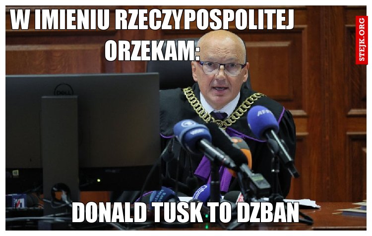W imieniu Rzeczypospolitej orzekam: