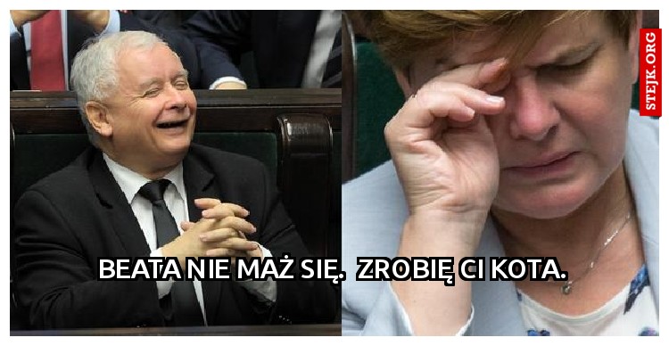 Beata nie maż się.  Zrobię ci kota.