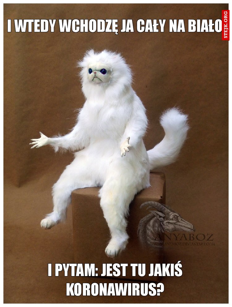 I wtedy wchodzę ja cały na biało
