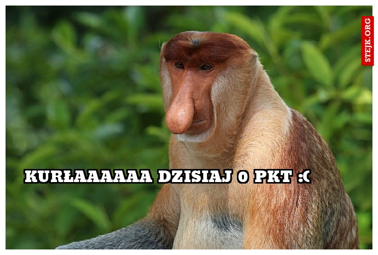 Kurłaaaaaa dzisiaj 0 pkt :(