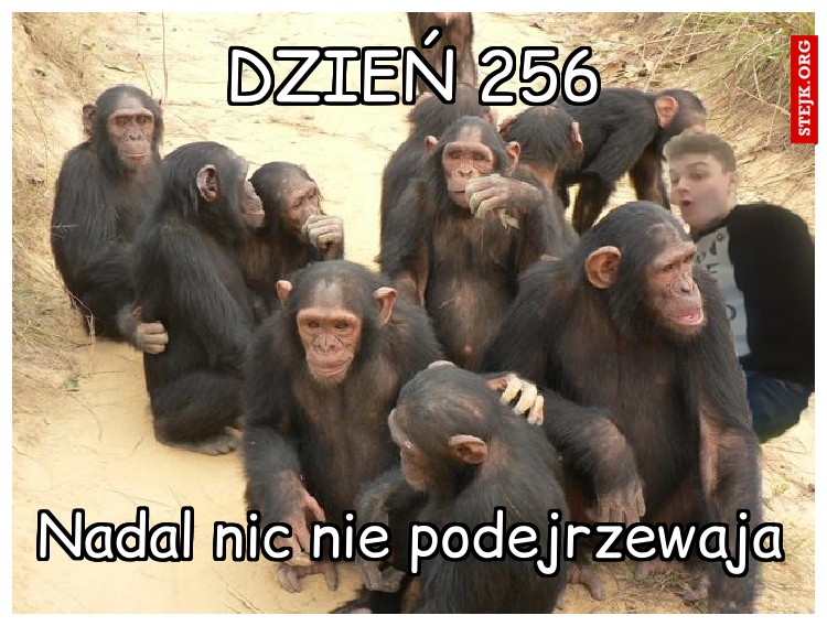 Dzień 256