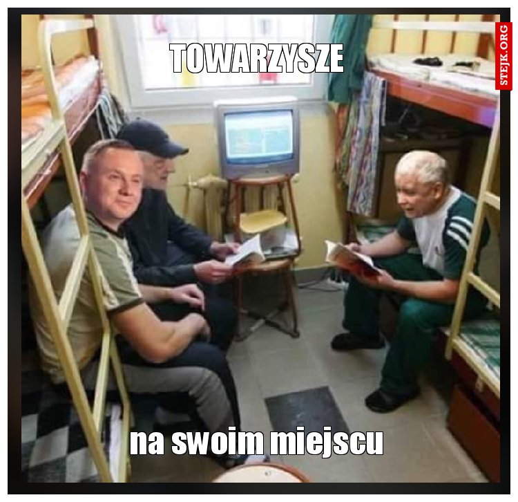 TOWARZYSZE