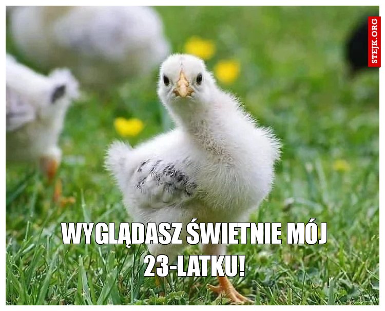 Wyglądasz świetnie mój 23-latku!
