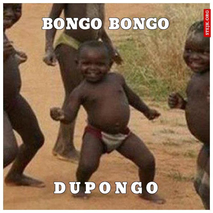 bongo bongo