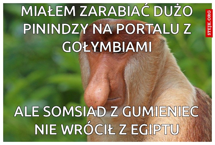 Oddaj mnie Canona za pół ceny