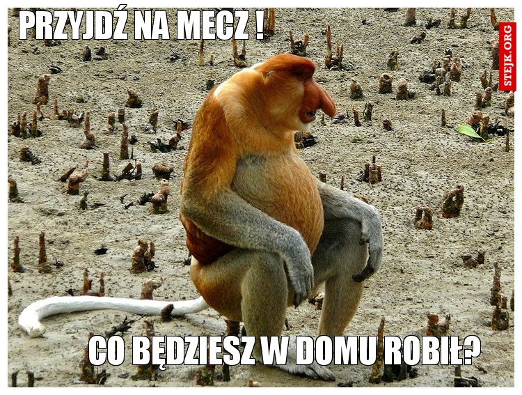 Przyjdź na mecz !