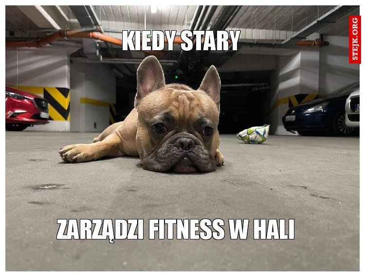 KIEDY STARY