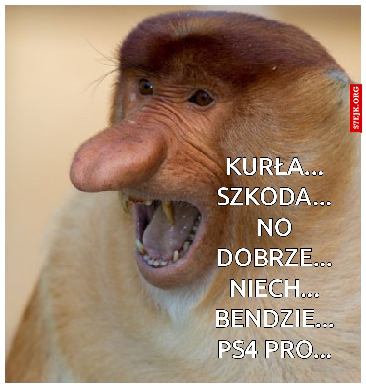 Kurła... Szkoda... No dobrze... Niech... Bendzie... PS4 Pro...