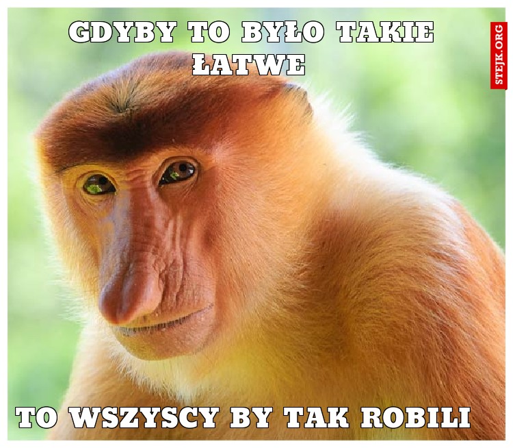 TO WSZYSCY BY TAK ROBILI