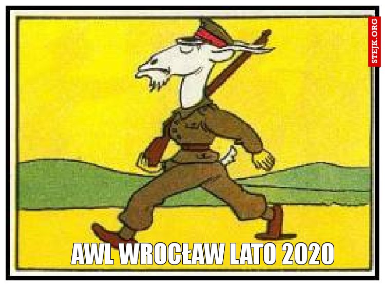 AWL Wrocław lato 2020