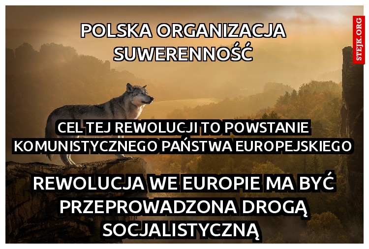 polska organizacja suwerenność