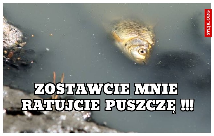 ZOSTAWCIE MNIE RATUJCIE PUSZCZĘ !!!