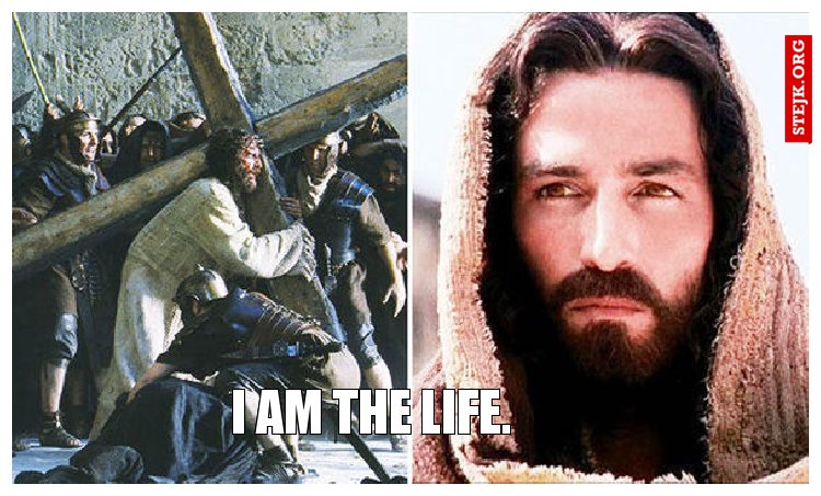 I am the life. 