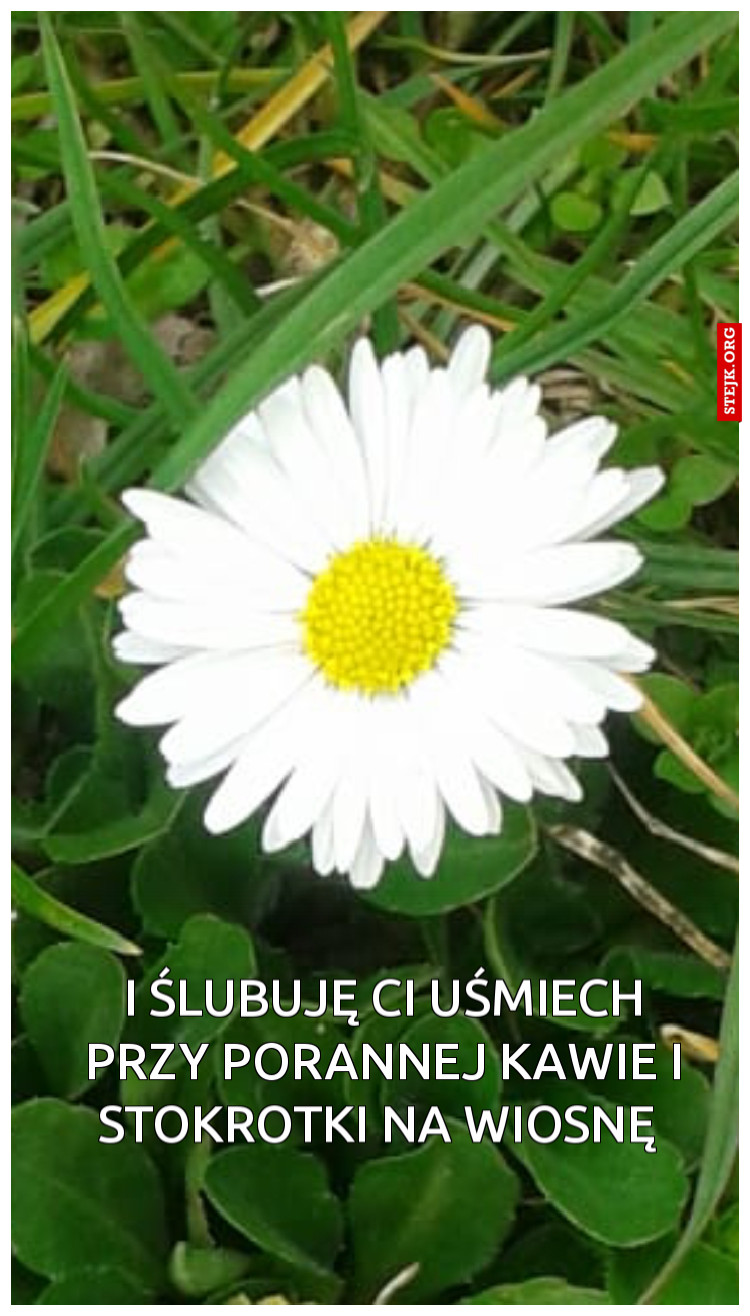 I ślubuję Ci uśmiech przy porannej kawie i stokrotki na wiosnę 