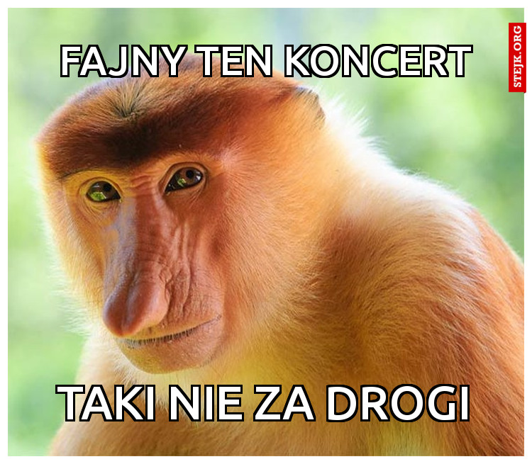 Fajny ten koncert