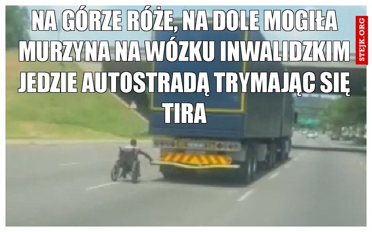 mem 