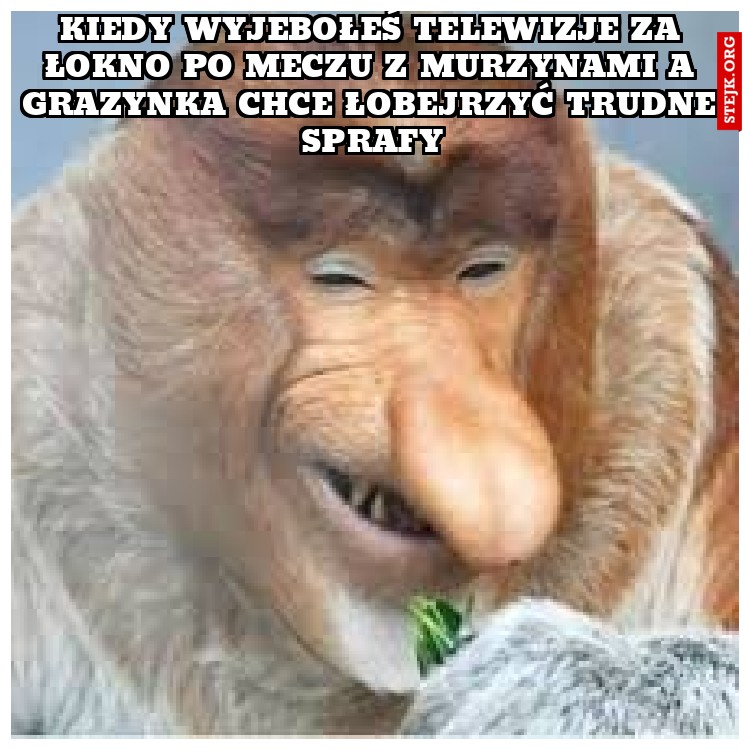kIEDY WYJEBOŁEŚ TELEWIZJE ZA ŁOKNO PO MECZU Z MURZYNAMI A GRAZYNKA CHCE ŁOBEJRZYĆ TRUDNE SPRAFY