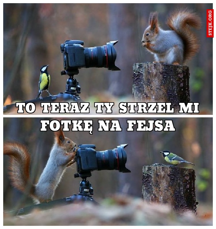 To teraz Ty strzel mi fotkę na fejsa