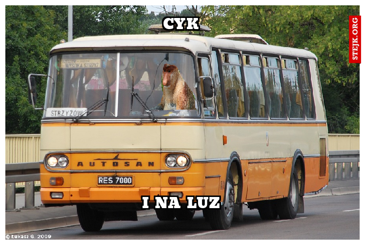 cyk