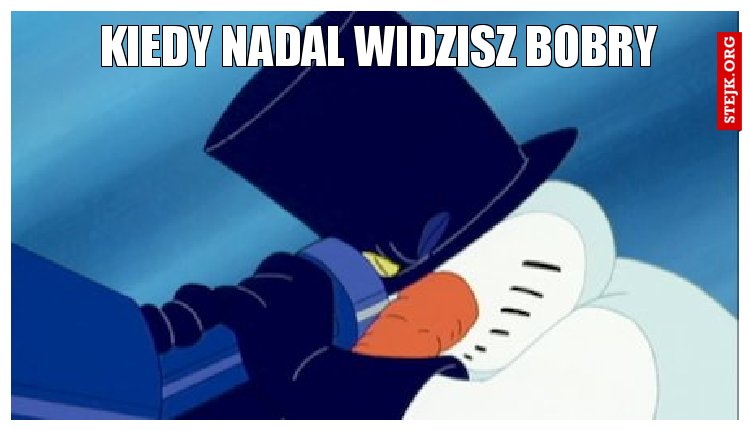 Kiedy nadal widzisz bobry