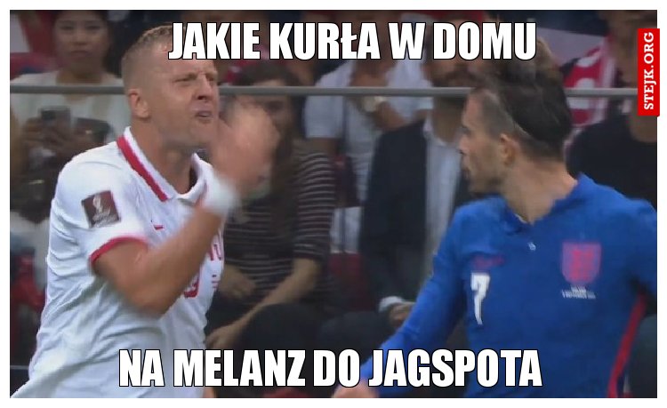 jakie kurła w domu