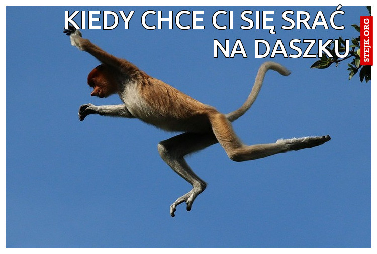 Kiedy chce ci się srać