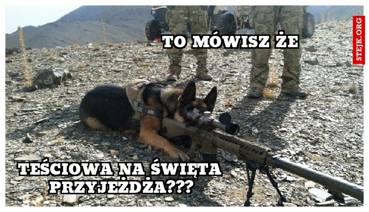TO MÓWISZ ŻE