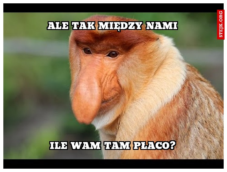 Ale tak między nami