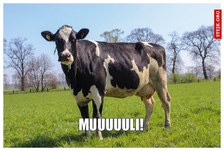 muuuuuli!