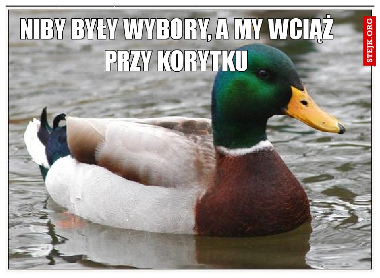 Niby były wybory, a my wciąż przy korytku