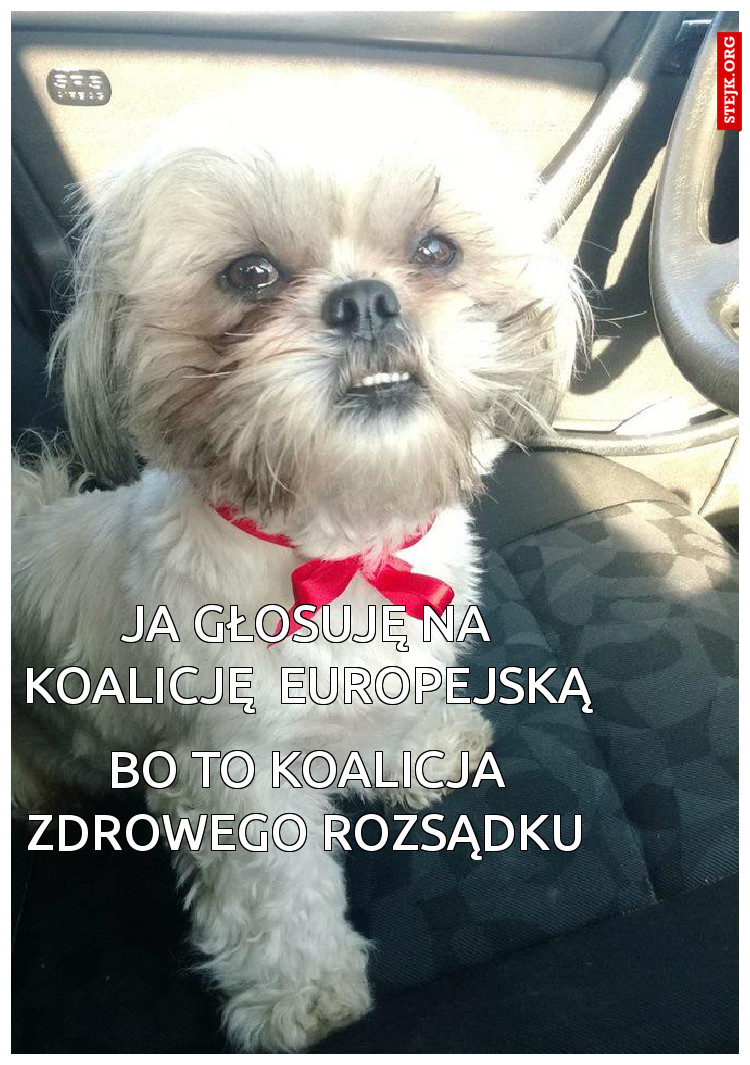bo to koalicja zdrowego rozsądku