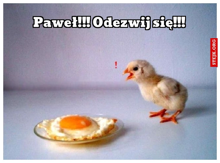 Paweł!!! Odezwij się!!!