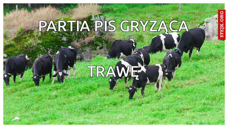 Partia Pis Gryząca