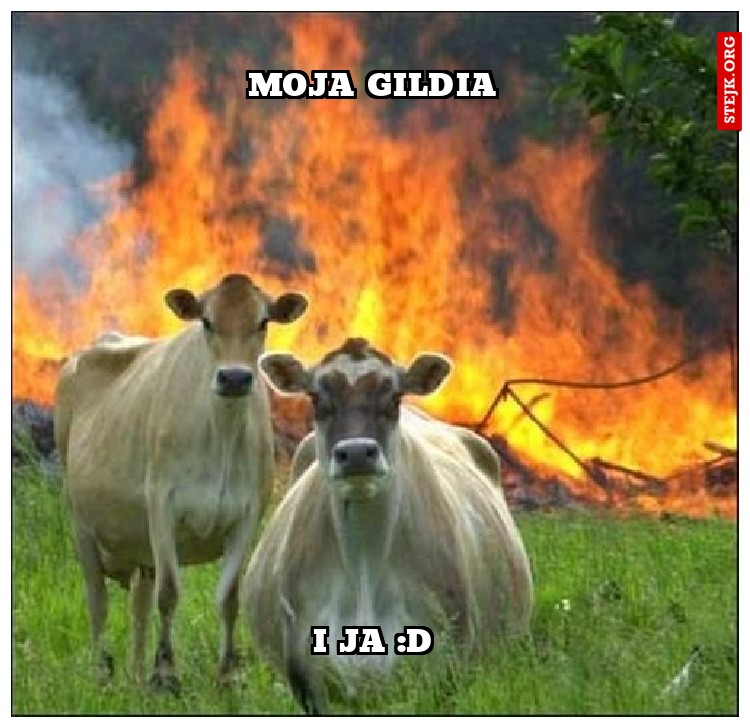 Moja gildia