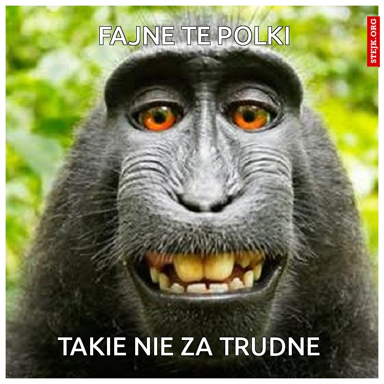 FAJNE TE POLKI