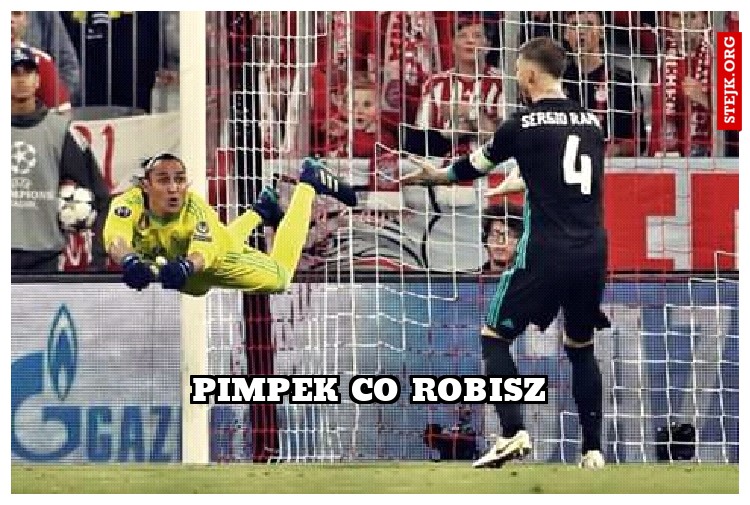Pimpek co robisz